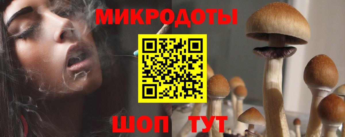 наркотики  Вход с VPN  Ишим  Псилоцибиновые грибы Psilocybine cubensis 